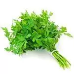 جعفری ساطوری