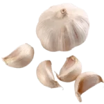 سیر ساطوری